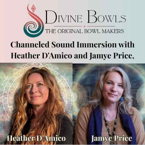 Divine Bowls A14 